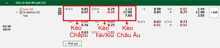 bảng kèo trận đấu Nữ Lyon vs Nữ Benfica
