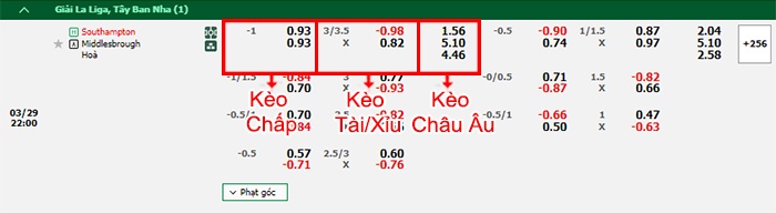 bảng kèo trận đấu Southampton vs Middlesbrough