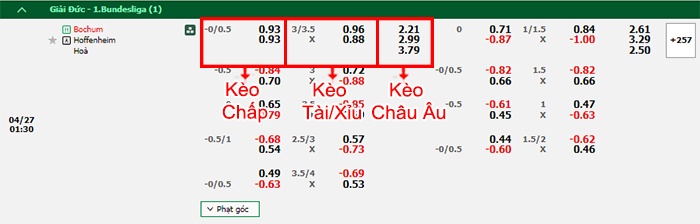 bảng kèo trận đấu Bochum vs Hoffenheim