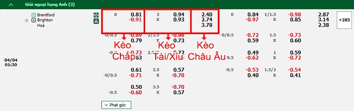 bảng kèo trận đấu Brentford vs Brighton