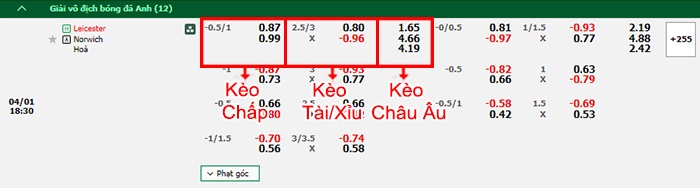 bảng kèo trận đấu Leicester vs Norwich