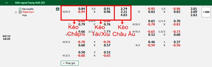 bảng kèo trận đấu Newcastle vs Tottenham